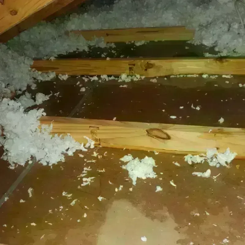 Attic Water Damage in Morrow County, OR