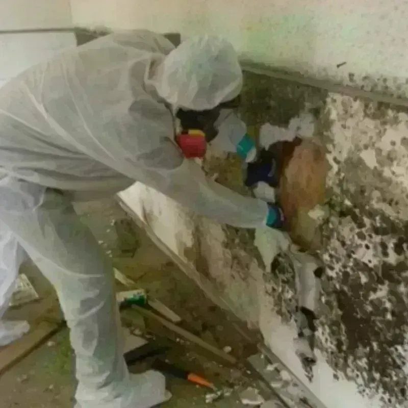 Mold Remediation and Removal in Morrow County, OR