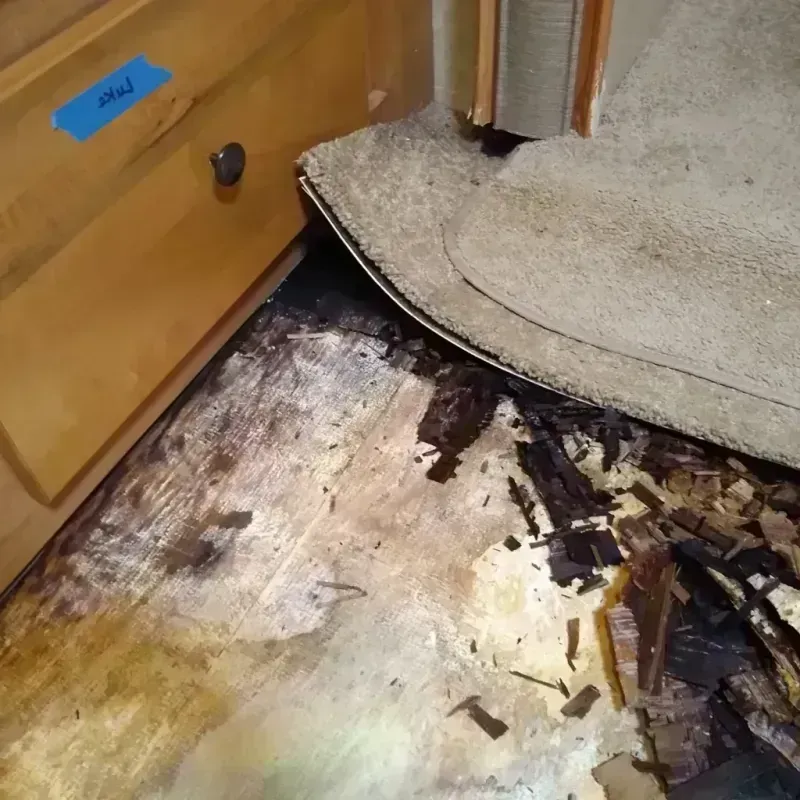 Wood Floor Water Damage in Morrow County, OR